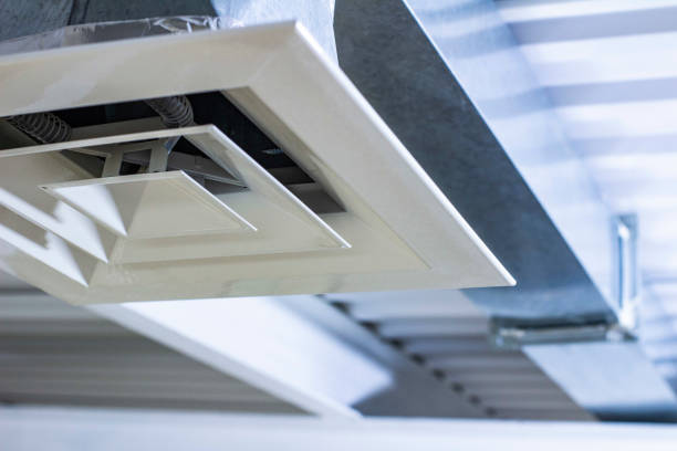 Best Air Duct Cleaning Company Near Me  in Buffalo, MN