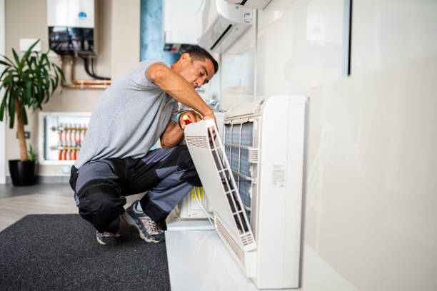 Best Home Air Vent Cleaning  in Buffalo, MN