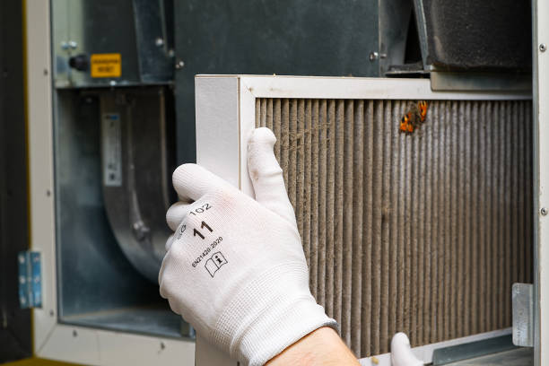 Best Ductwork Cleaning Services  in Buffalo, MN