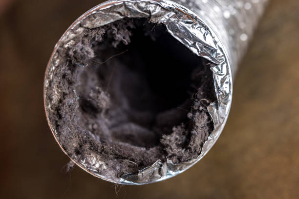 Best Residential Air Duct Cleaning  in Buffalo, MN